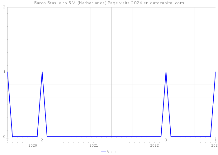 Barco Brasileiro B.V. (Netherlands) Page visits 2024 