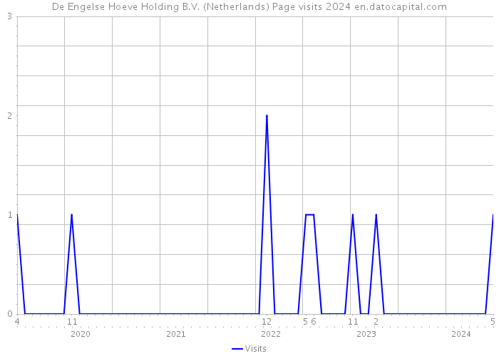 De Engelse Hoeve Holding B.V. (Netherlands) Page visits 2024 