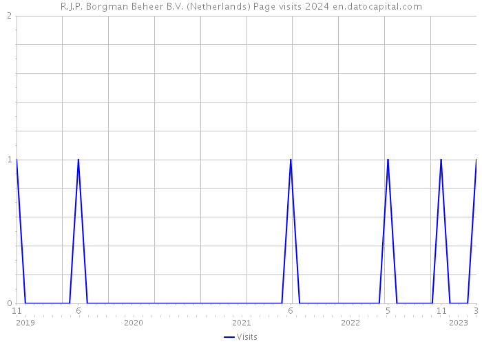 R.J.P. Borgman Beheer B.V. (Netherlands) Page visits 2024 