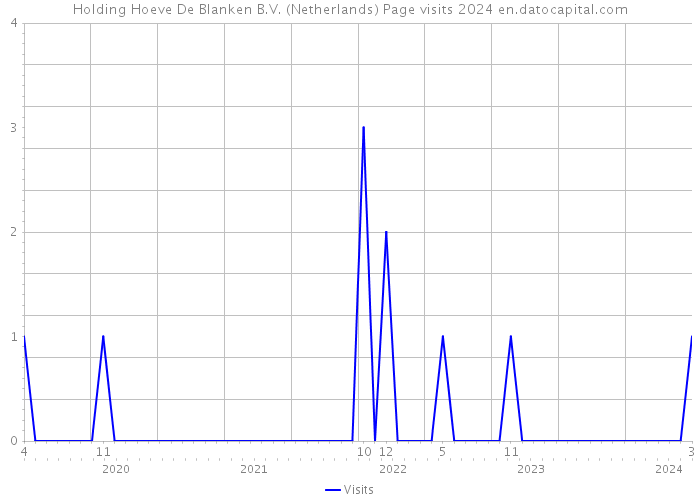 Holding Hoeve De Blanken B.V. (Netherlands) Page visits 2024 