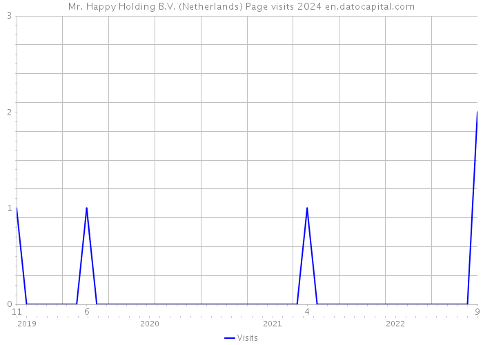 Mr. Happy Holding B.V. (Netherlands) Page visits 2024 