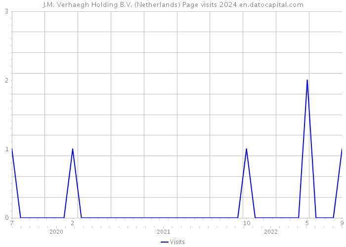 J.M. Verhaegh Holding B.V. (Netherlands) Page visits 2024 