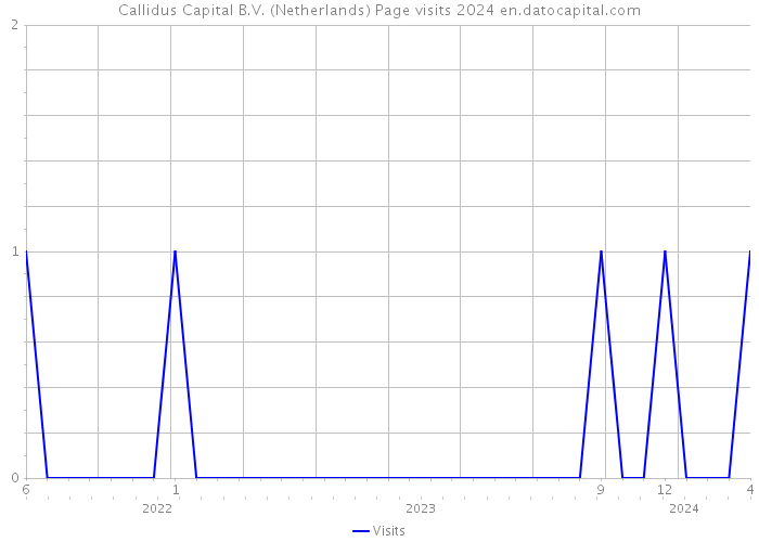 Callidus Capital B.V. (Netherlands) Page visits 2024 
