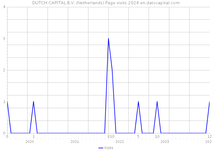 DUTCH CAPITAL B.V. (Netherlands) Page visits 2024 