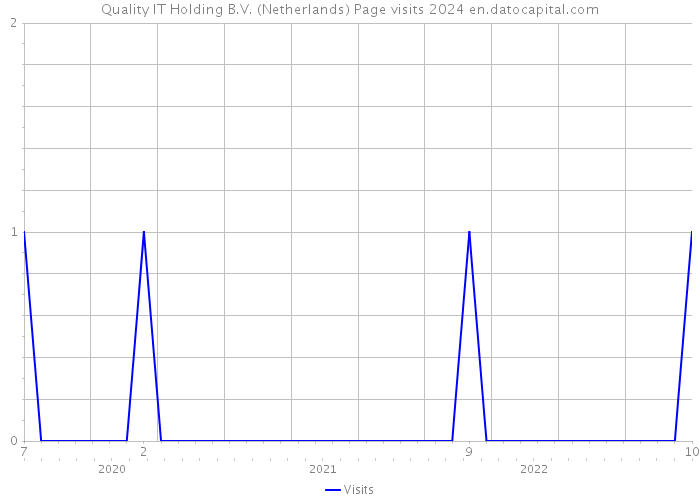 Quality IT Holding B.V. (Netherlands) Page visits 2024 