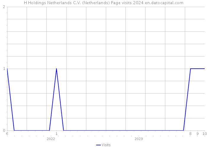 H Holdings Netherlands C.V. (Netherlands) Page visits 2024 