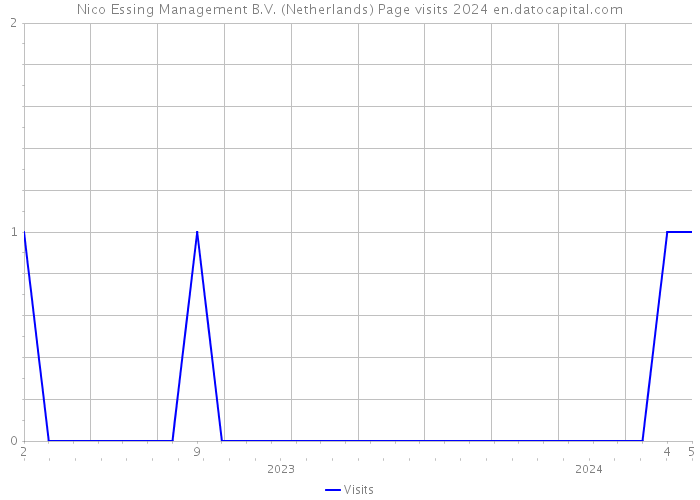 Nico Essing Management B.V. (Netherlands) Page visits 2024 