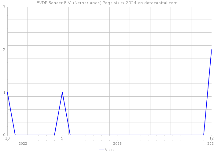 EVDP Beheer B.V. (Netherlands) Page visits 2024 