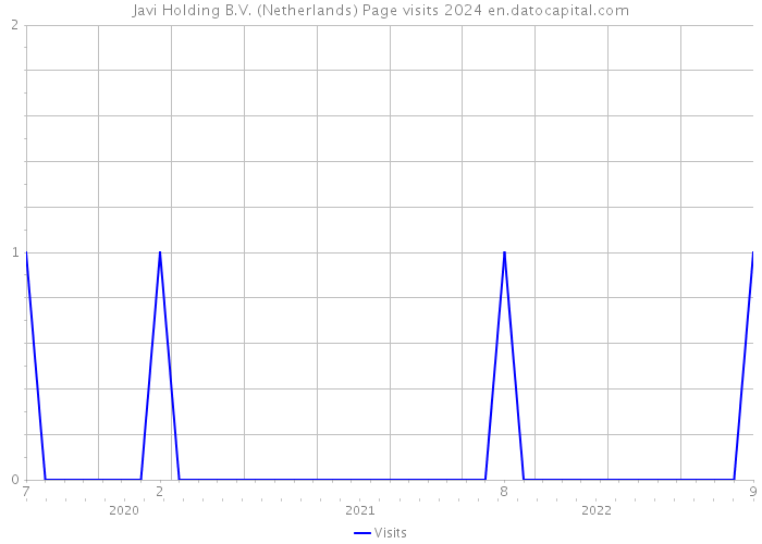 Javi Holding B.V. (Netherlands) Page visits 2024 