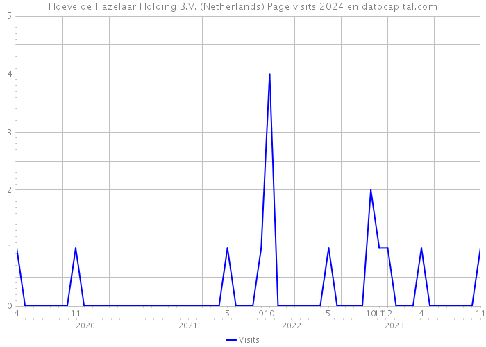 Hoeve de Hazelaar Holding B.V. (Netherlands) Page visits 2024 