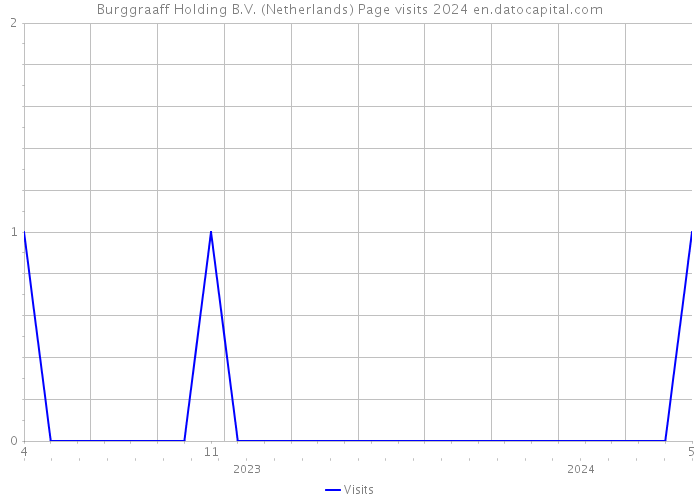 Burggraaff Holding B.V. (Netherlands) Page visits 2024 