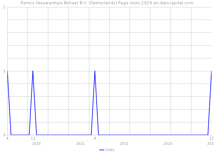 Remco Nieuwenhuis Beheer B.V. (Netherlands) Page visits 2024 
