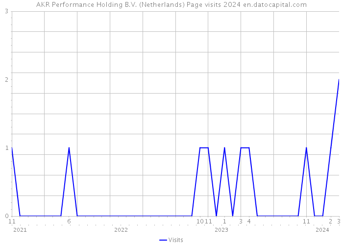 AKR Performance Holding B.V. (Netherlands) Page visits 2024 