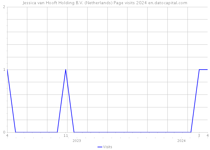 Jessica van Hooft Holding B.V. (Netherlands) Page visits 2024 