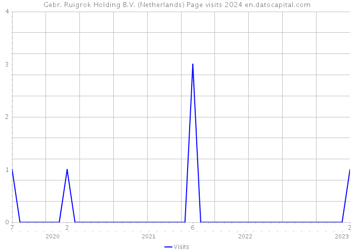 Gebr. Ruigrok Holding B.V. (Netherlands) Page visits 2024 