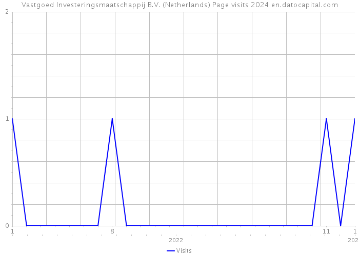 Vastgoed Investeringsmaatschappij B.V. (Netherlands) Page visits 2024 