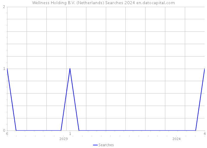 Wellness Holding B.V. (Netherlands) Searches 2024 