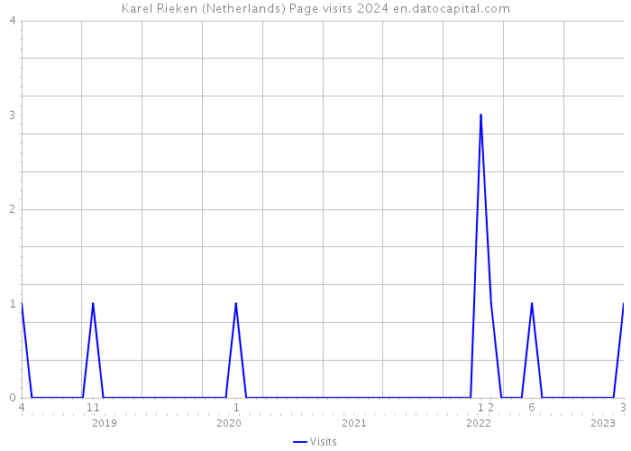 Karel Rieken (Netherlands) Page visits 2024 