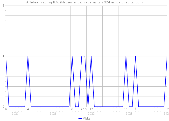 Affidea Trading B.V. (Netherlands) Page visits 2024 