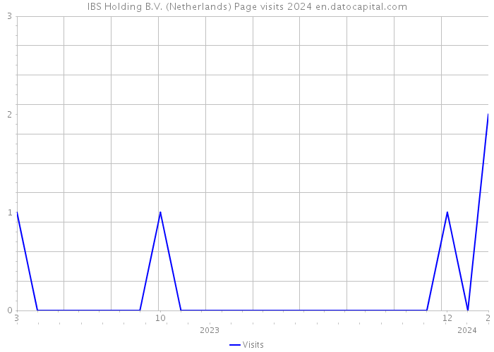 IBS Holding B.V. (Netherlands) Page visits 2024 