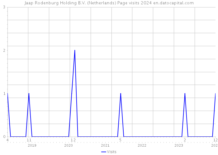 Jaap Rodenburg Holding B.V. (Netherlands) Page visits 2024 