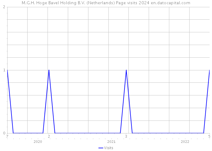 M.G.H. Hoge Bavel Holding B.V. (Netherlands) Page visits 2024 