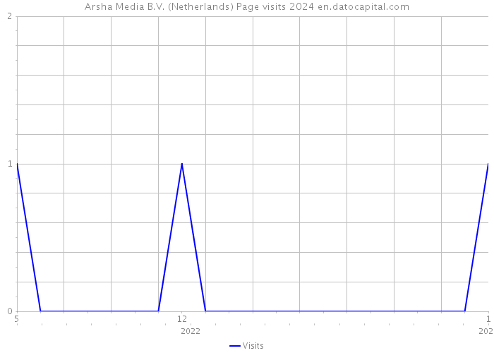 Arsha Media B.V. (Netherlands) Page visits 2024 