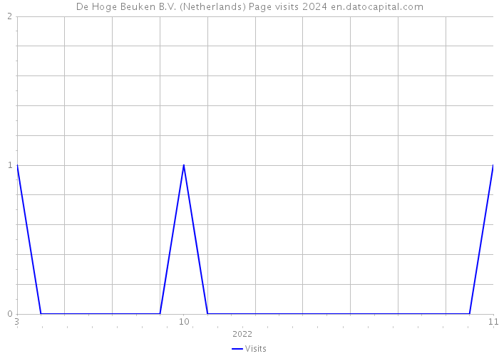 De Hoge Beuken B.V. (Netherlands) Page visits 2024 