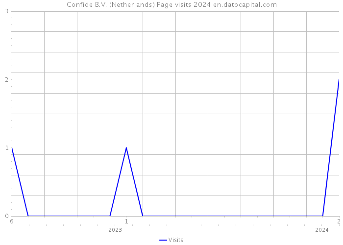 Confide B.V. (Netherlands) Page visits 2024 