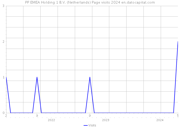 PP EMEA Holding 1 B.V. (Netherlands) Page visits 2024 