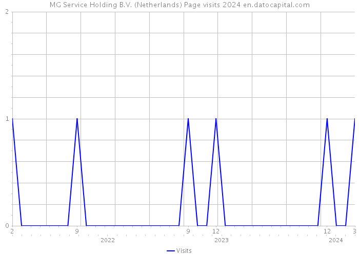 MG Service Holding B.V. (Netherlands) Page visits 2024 