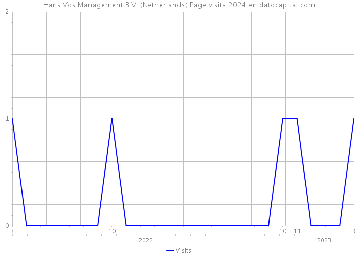 Hans Vos Management B.V. (Netherlands) Page visits 2024 