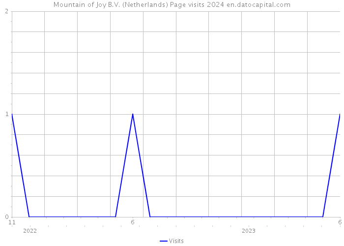 Mountain of Joy B.V. (Netherlands) Page visits 2024 