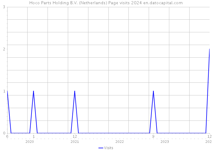 Hoco Parts Holding B.V. (Netherlands) Page visits 2024 