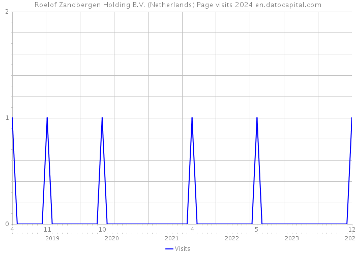 Roelof Zandbergen Holding B.V. (Netherlands) Page visits 2024 
