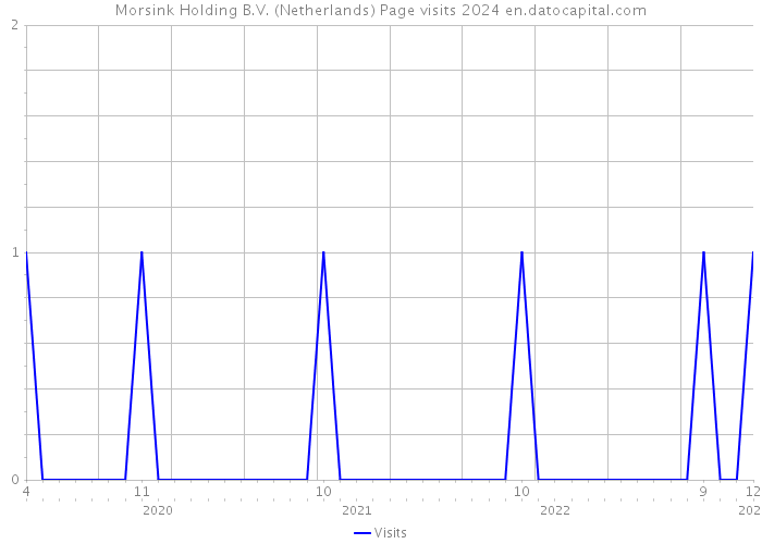 Morsink Holding B.V. (Netherlands) Page visits 2024 