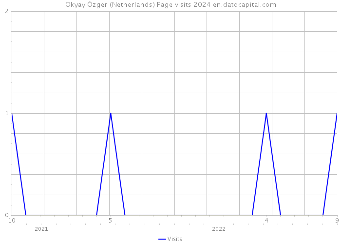 Okyay Özger (Netherlands) Page visits 2024 