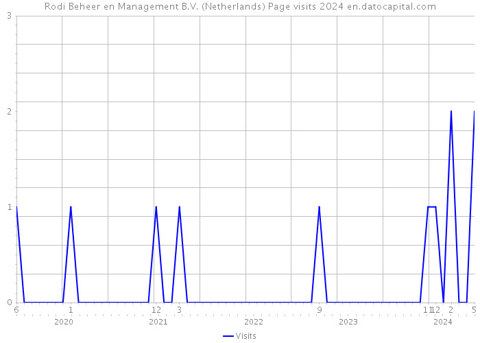 Rodi Beheer en Management B.V. (Netherlands) Page visits 2024 