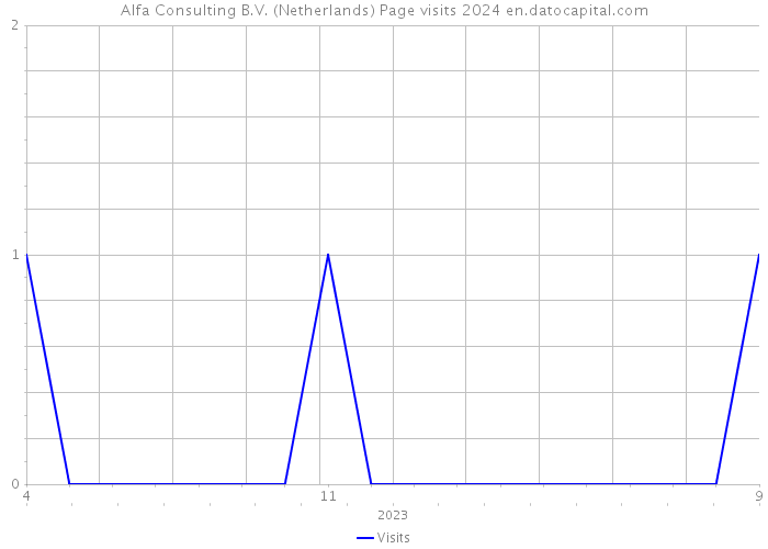 Alfa Consulting B.V. (Netherlands) Page visits 2024 