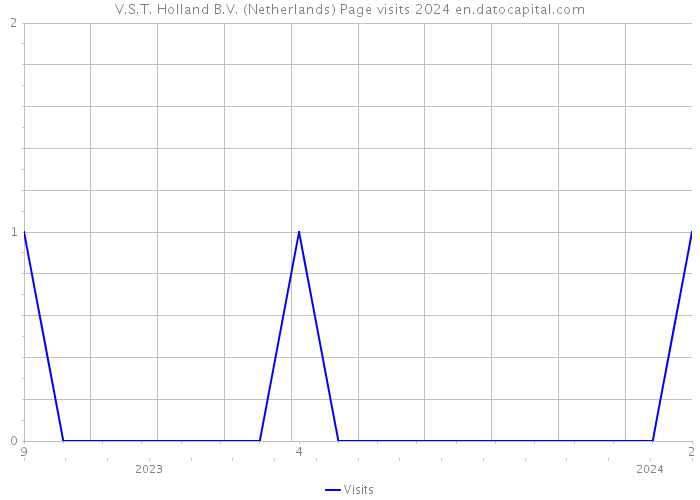 V.S.T. Holland B.V. (Netherlands) Page visits 2024 