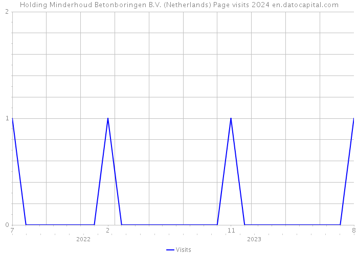 Holding Minderhoud Betonboringen B.V. (Netherlands) Page visits 2024 