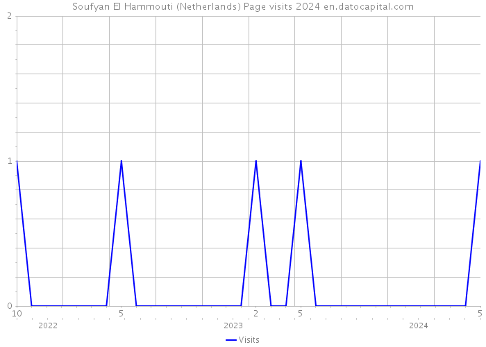 Soufyan El Hammouti (Netherlands) Page visits 2024 