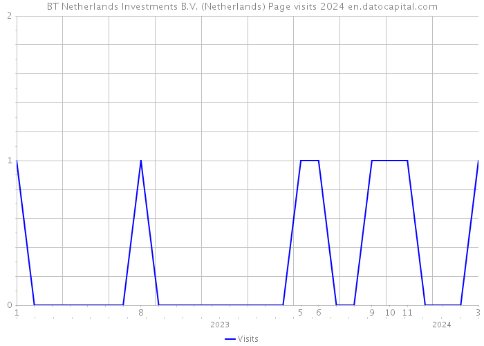BT Netherlands Investments B.V. (Netherlands) Page visits 2024 