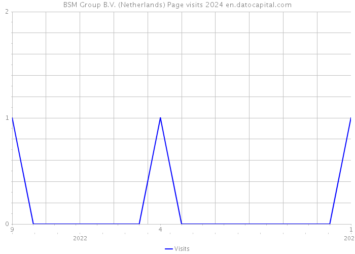 BSM Group B.V. (Netherlands) Page visits 2024 