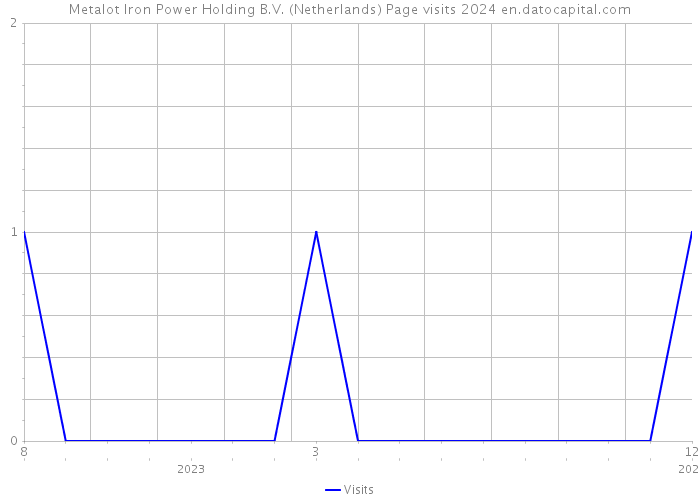 Metalot Iron Power Holding B.V. (Netherlands) Page visits 2024 
