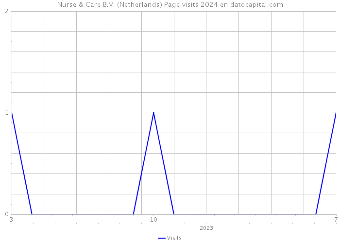 Nurse & Care B.V. (Netherlands) Page visits 2024 