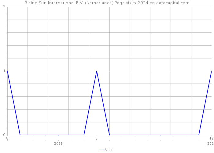 Rising Sun International B.V. (Netherlands) Page visits 2024 