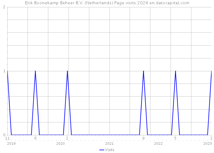 Erik Boonekamp Beheer B.V. (Netherlands) Page visits 2024 