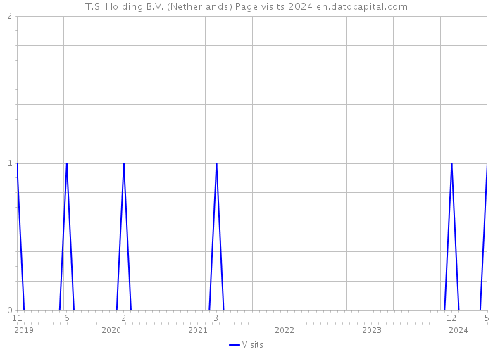 T.S. Holding B.V. (Netherlands) Page visits 2024 
