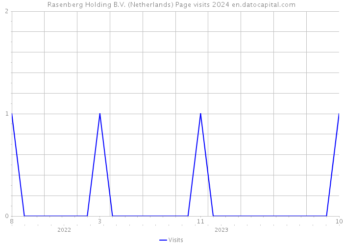 Rasenberg Holding B.V. (Netherlands) Page visits 2024 